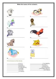 English Worksheet: animals