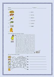 English worksheet: Pets