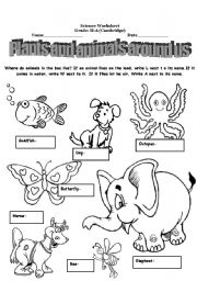 English Worksheet: plants and animals around us