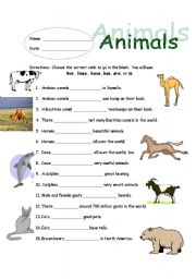 Animal Subject/Verb Agreement