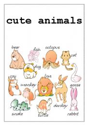 cute animals