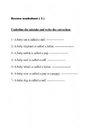 English Worksheet: Baby Animals