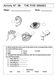 English Worksheet: THE FIVE SENSES