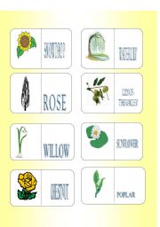 English Worksheet: FLOWERS AND TREES SET 2