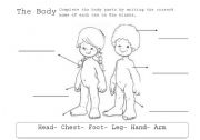 Body Parts 