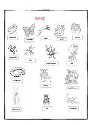 English Worksheet: BUGS