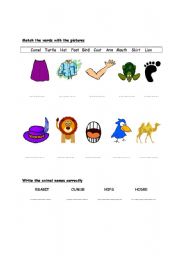 English worksheet: Body parts,animals,clothes quick vocabulary revision