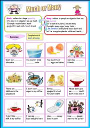 English Worksheet: much and many