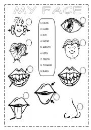 English Worksheet: MY FACE