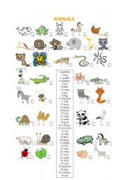 English Worksheet: animals