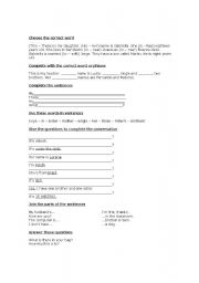 English Worksheet: Test for begginners