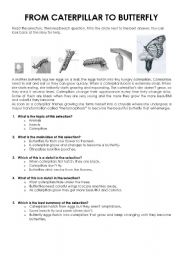 English Worksheet: From caterpillar to buterfly