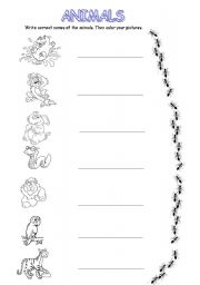 English worksheet: Jungle Animals