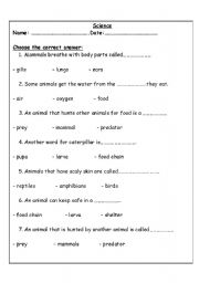 English worksheet: animals types