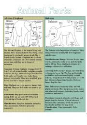 English Worksheet: Animal Facts