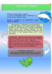 English worksheet: Information Report - Humpbacks