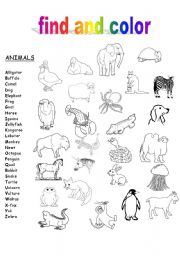 The ABCs of Animals and Food