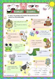 English Worksheet: Animal Idioms used every day  (3)  for elementary/ lower intermediate students