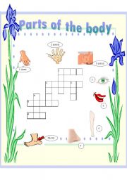 English Worksheet: Parts of the body