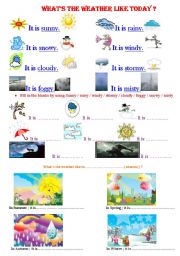 English Worksheet: whats the weather like