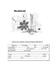 English worksheet: My crazy pet