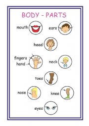 English Worksheet: body parts