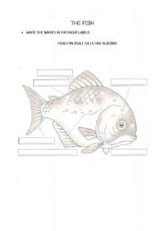 English worksheet: The fish