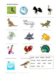 English worksheet: Animals