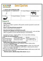 English worksheet: general questions