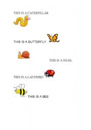 English worksheet: bugs