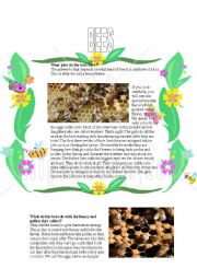 English Worksheet: Bees