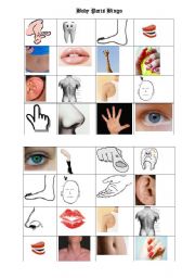 English Worksheet: Body parts Bingo