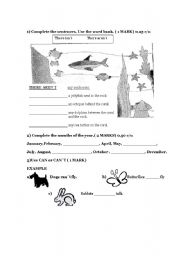 English worksheet: VARIED EXAM