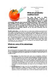 English Worksheet: Genetically Modified Food (environmental matters)
