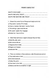 English worksheet: Present Simple Test