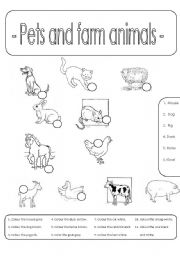 Pets and farm animals (Number and colour)