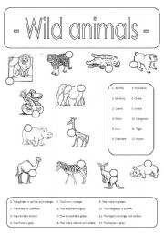 English Worksheet: Wild animals (number and colour))