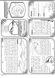 English Worksheet: Lets Learn About Dolphins: Elementary Level (mini-book)