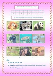 English worksheet: Endangered animals3/3