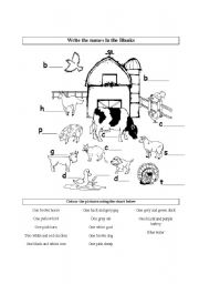 English Worksheet: Farm Animals