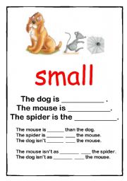 comparatives 3/3  small + tall + key