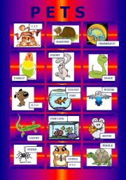 English Worksheet: PETS pictionary