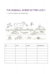 English Worksheet: animals and habitats