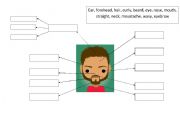 English Worksheet: Face, physical appearance