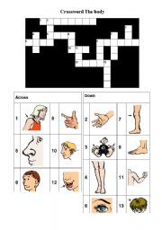 English Worksheet: crossword body