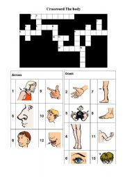 crossword body