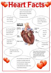 English Worksheet: Heart  Facts