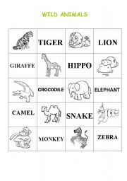 English Worksheet: WILD ANIMALS