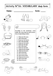 English Worksheet: BODY PARTS