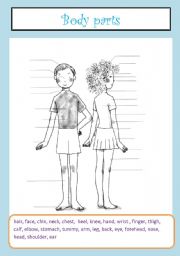 English Worksheet: body parts - vocabulary